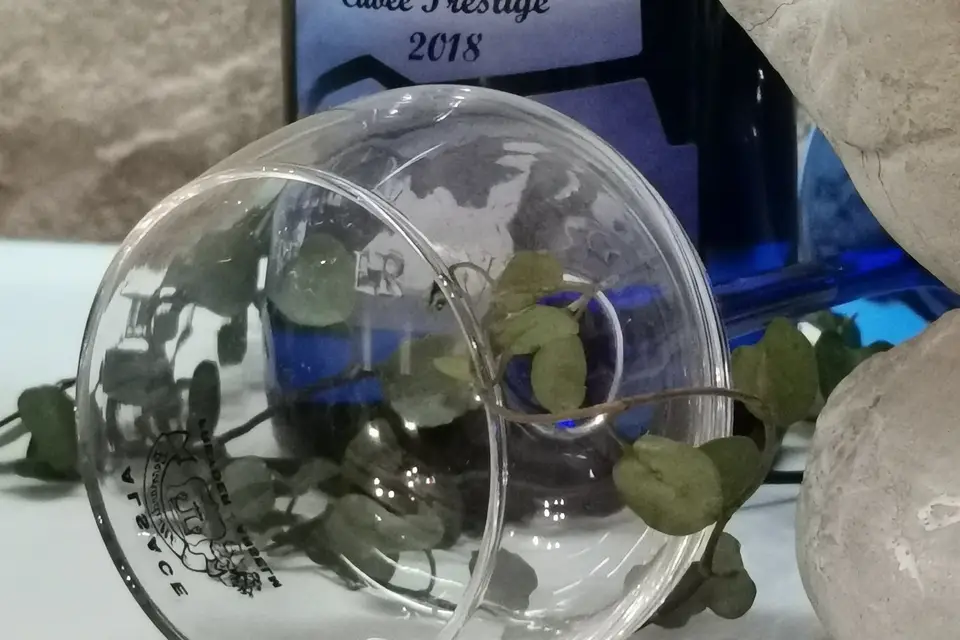 Domaine Freyder Anselm — photo 6