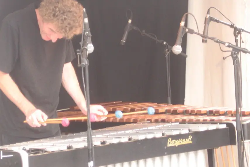 Vibracorus — photo 4