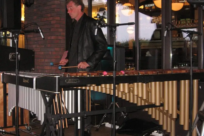 Vibracorus — photo 5