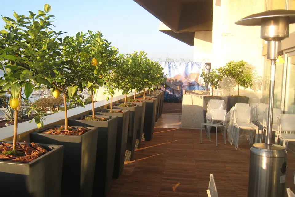 Riviera Plantes — photo 1