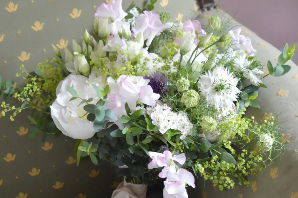 Vert Pastel — photo 6