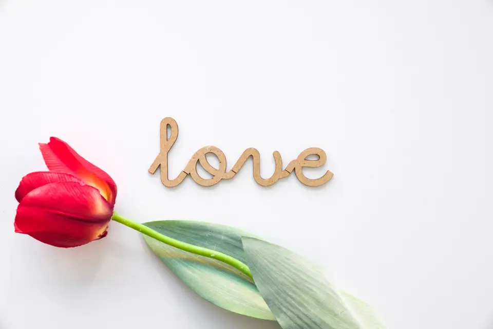 Mily's Writing — photo 6