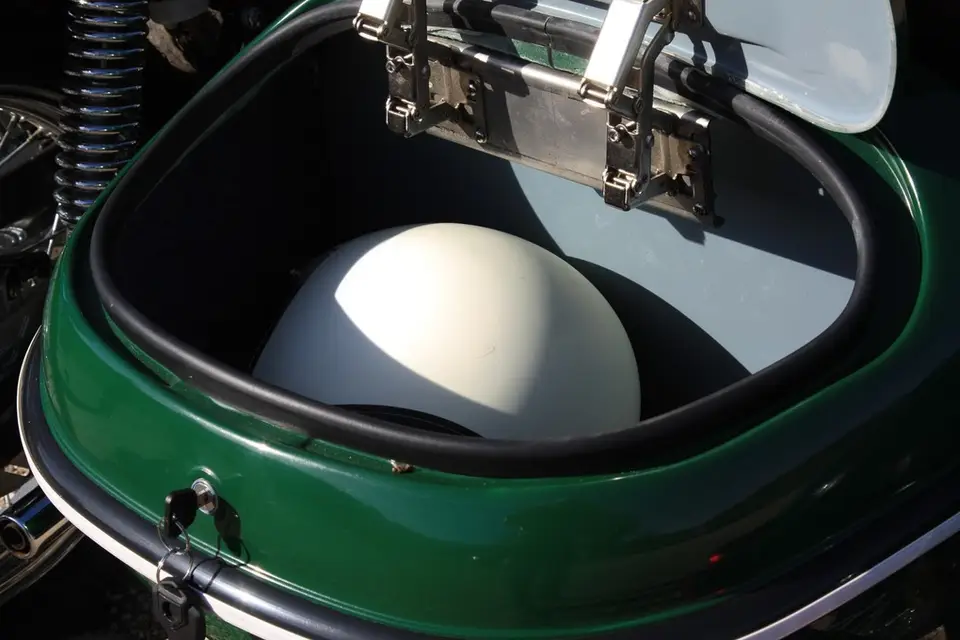 Wild Side Tour — photo 7