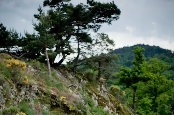 Laurianne Conesa — photo 2