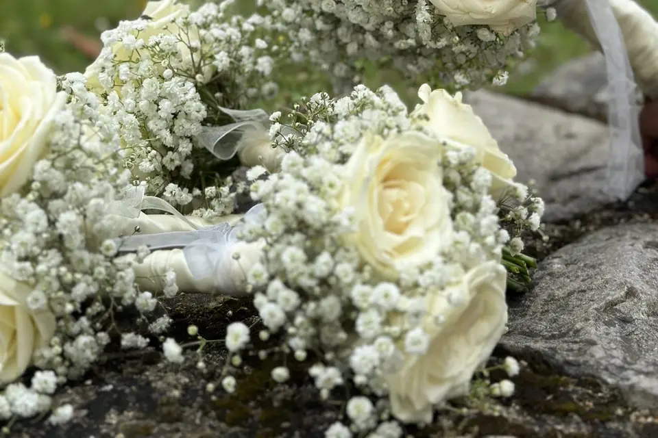 L’Oliveraie — photo 6