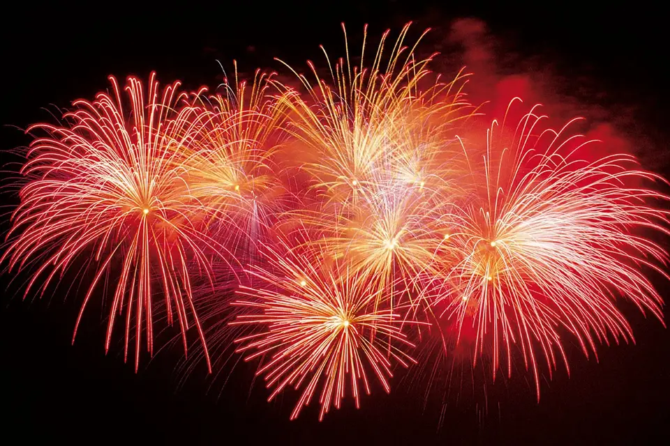 NFX Artifices — photo 8