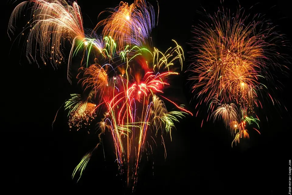 NFX Artifices — photo 7