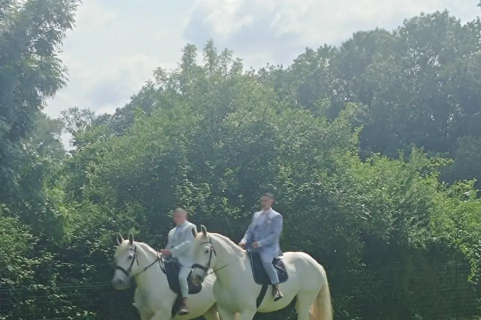 Fête comme chez vous — photo 1