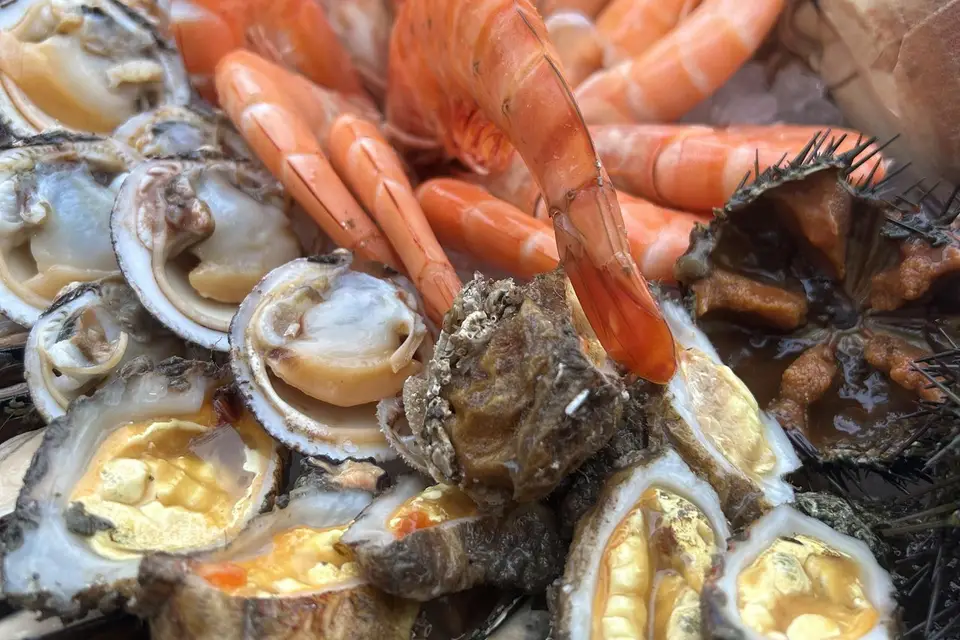 Le Kalypso — photo 3