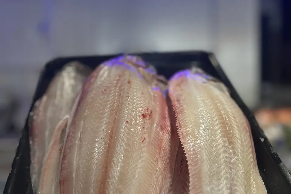 Le Kalypso — photo 2