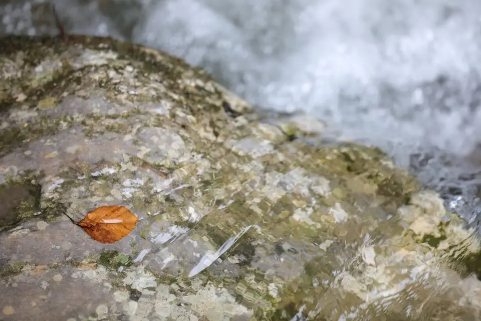 Blue Shine Music — photo 6