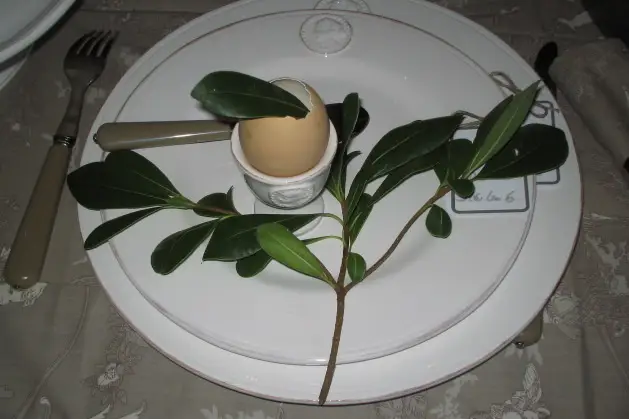 La Maison de Malaure — photo 3