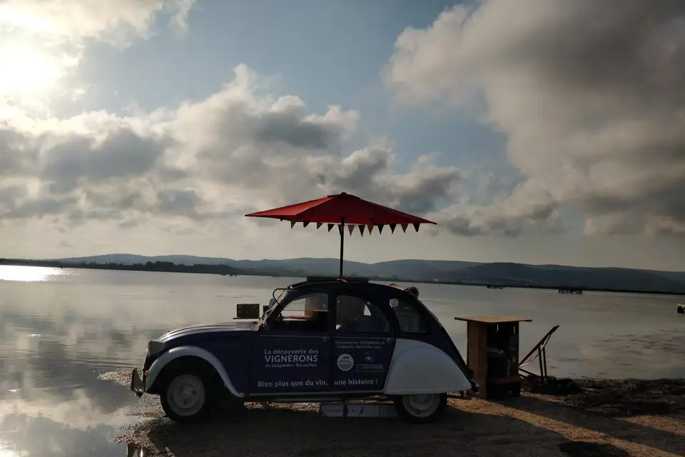 Trouve ton vigneron — photo 6