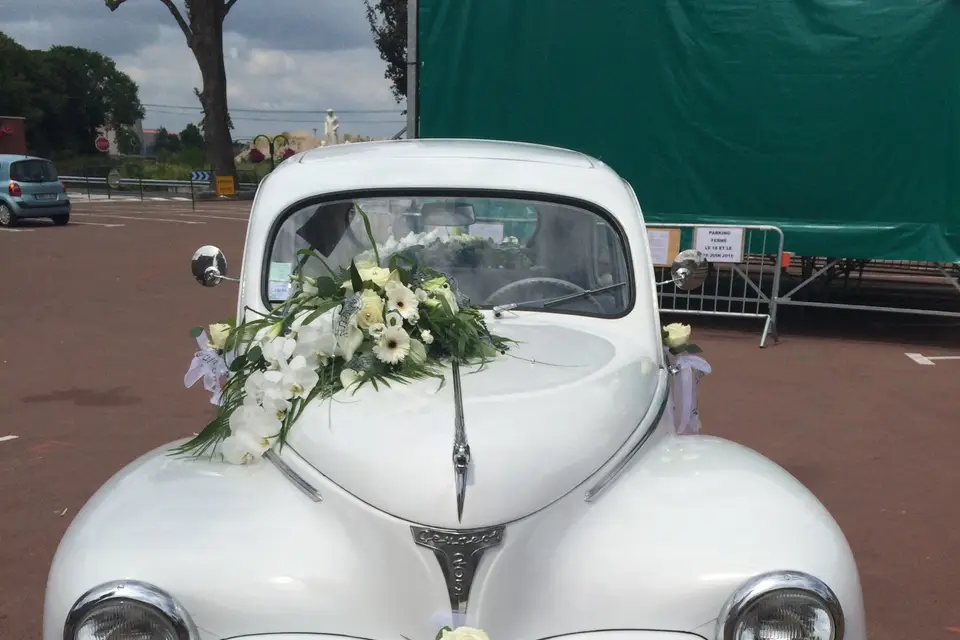 Le Tamaya — photo 1