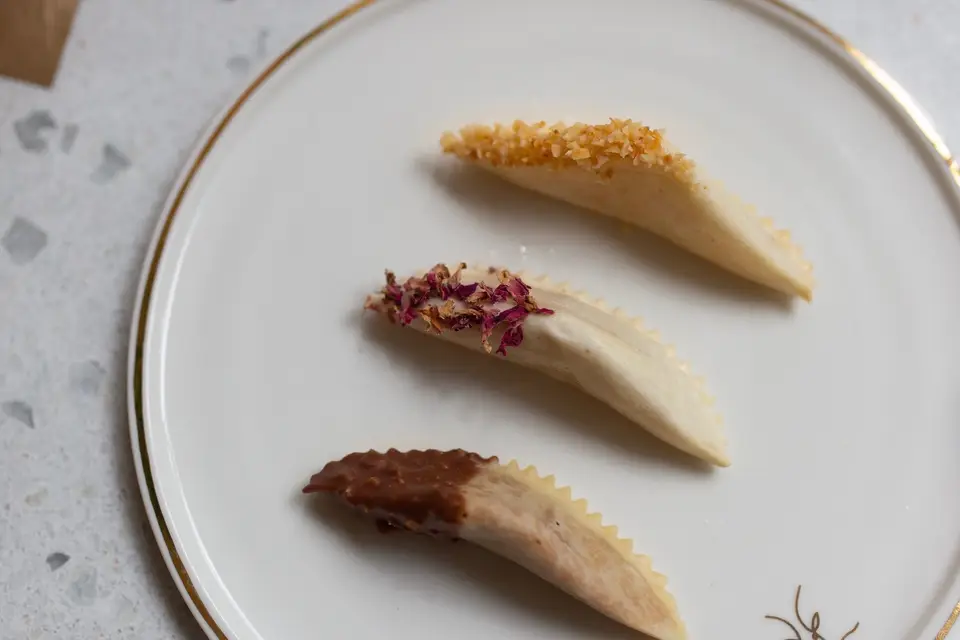 Maison Gazelle — photo 3