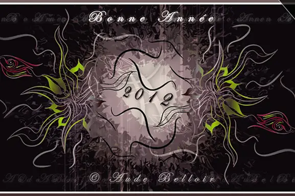 Aude Belloir GraphiKs — photo 5