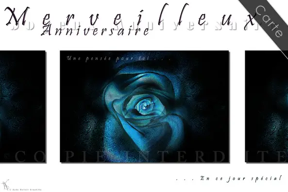 Aude Belloir GraphiKs — photo 7