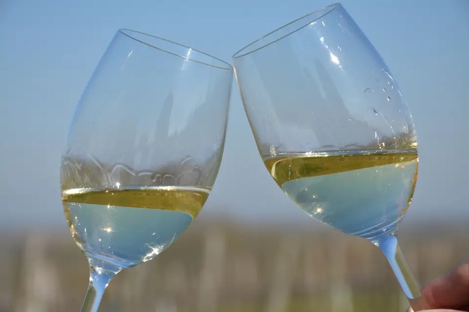 Devinez, La Fabrique Œnologique