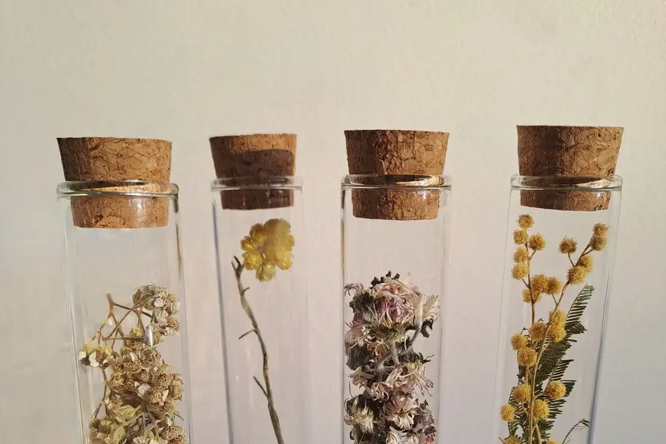 Petille&Sens — photo 7