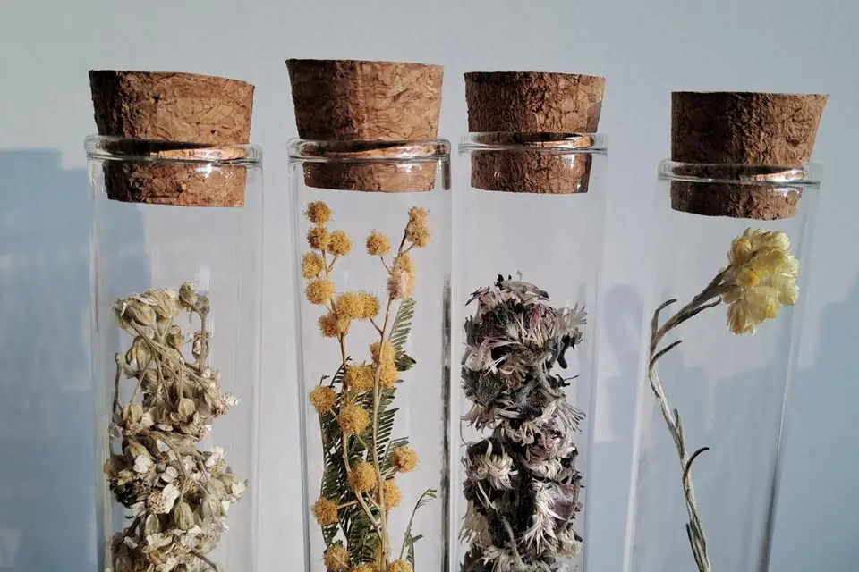 Petille&Sens — photo 3