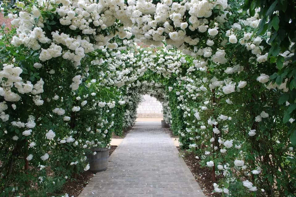 Maladrerie Saint-Lazare — photo 1