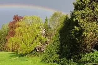 Château La Gauchetière — photo 4