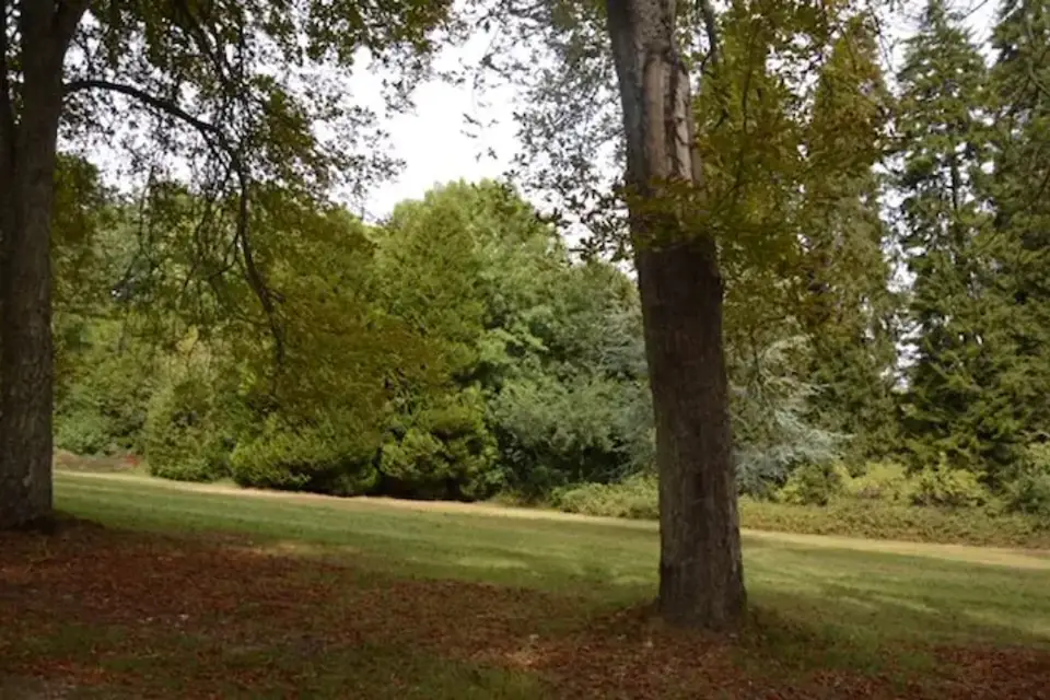 Château La Gauchetière — photo 3