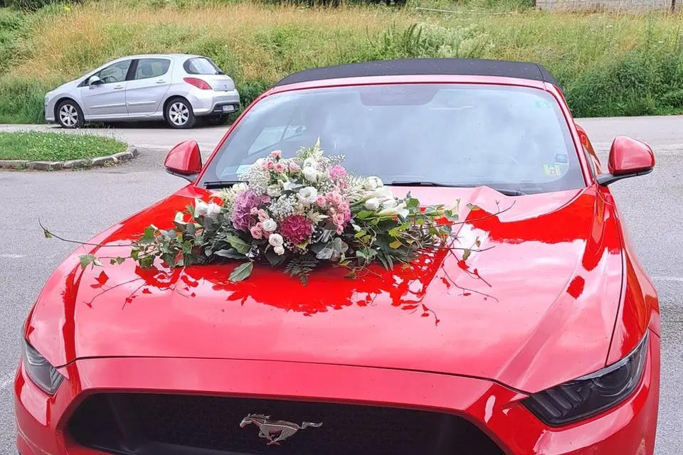 Passionnément Divines — photo 8