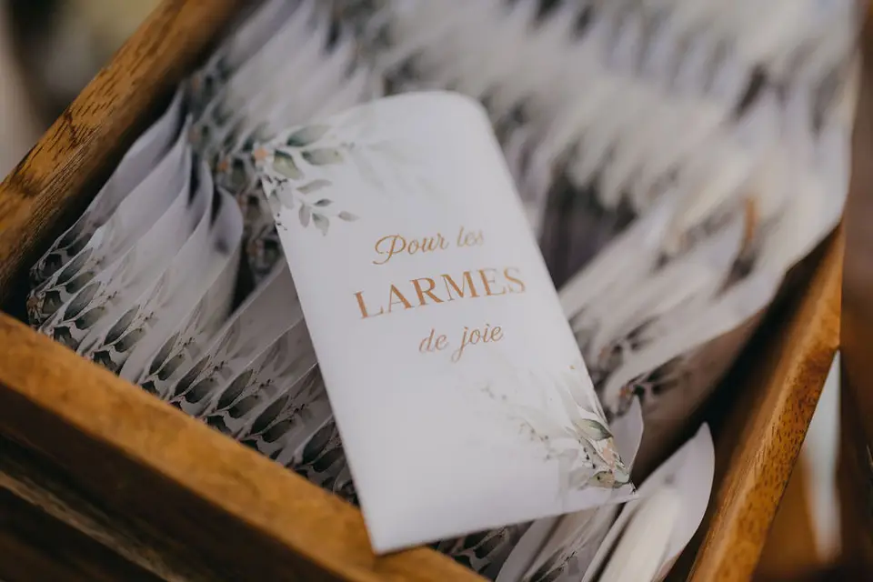 Burdimilion — photo 6