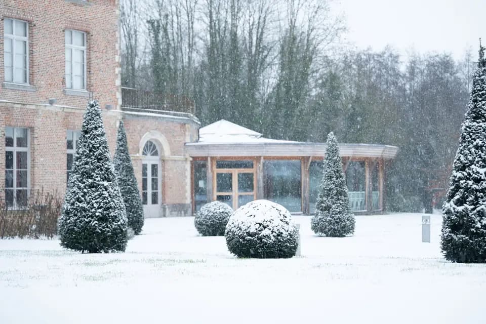 Château de Morbecque — photo 8