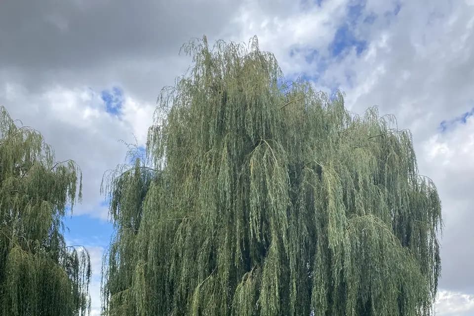 Domaine Le Canotier — photo 3