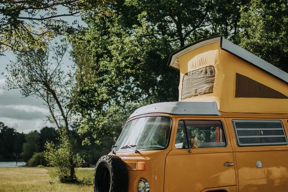 Combi Family — photo 6