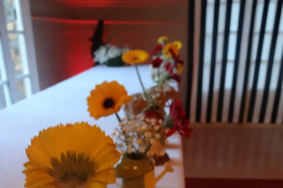 Jenny Jane Events — photo 6