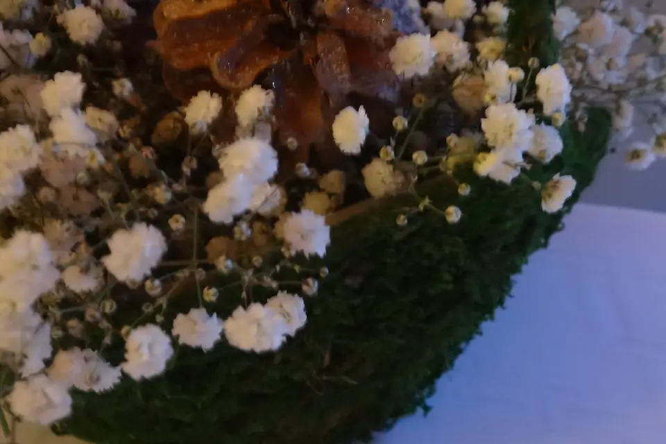 Jenny Jane Events — photo 5