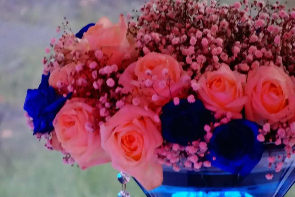 Jenny Jane Events — photo 1