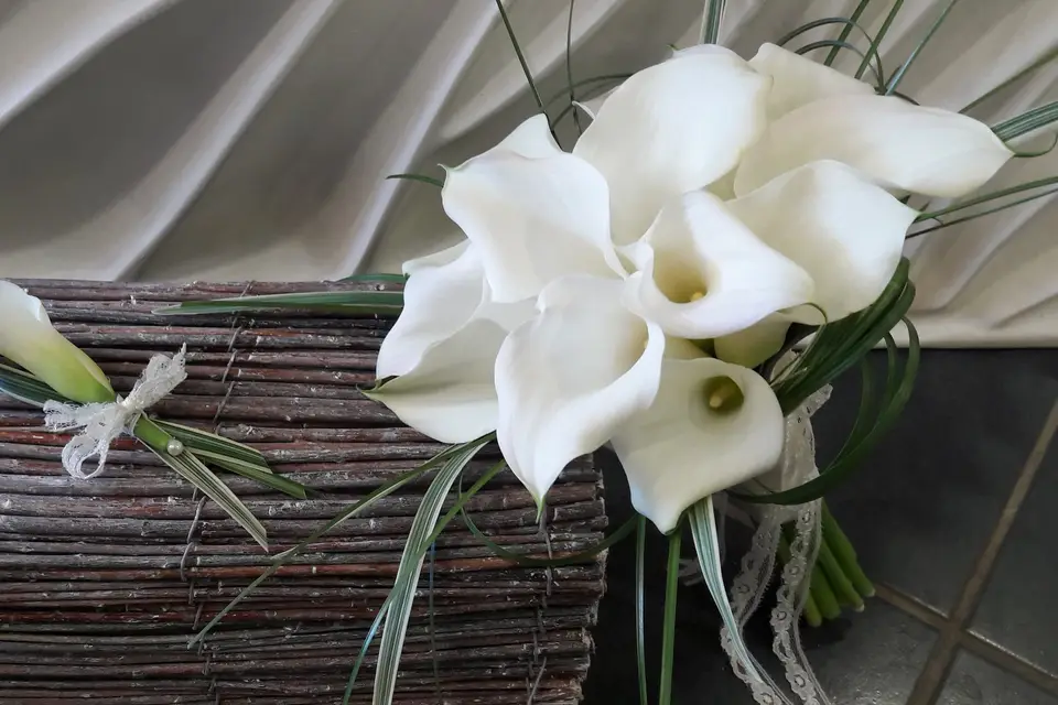 Ambianc'pétale — photo 4