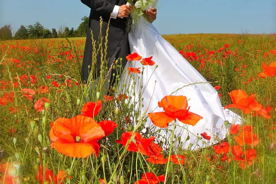 Contre Jour — photo 5