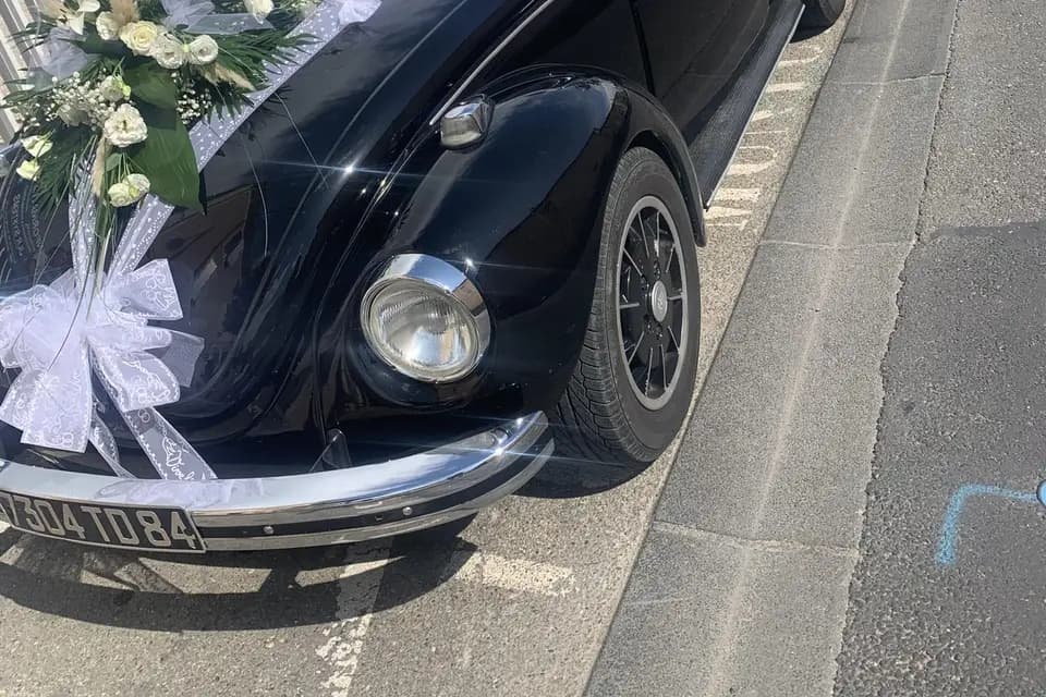 Les Fleurs de Malyana — photo 6