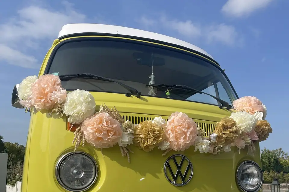 Albert Combi — photo 4