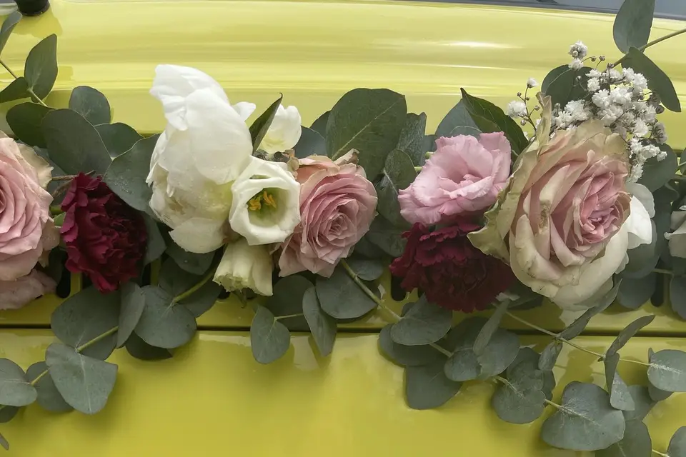 Albert Combi — photo 7