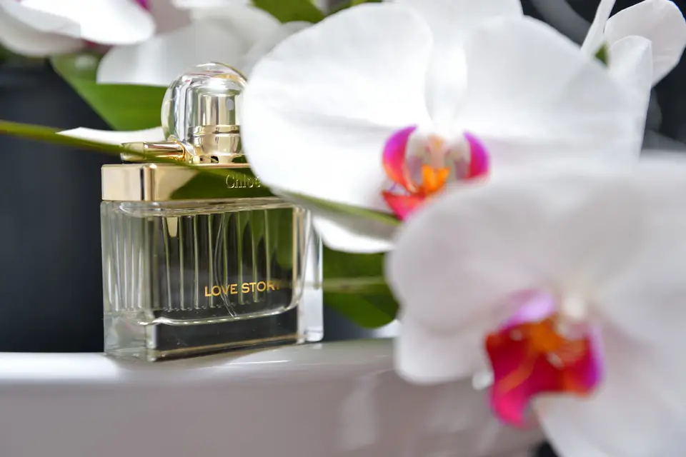 Caractère Studio Photographe — photo 4