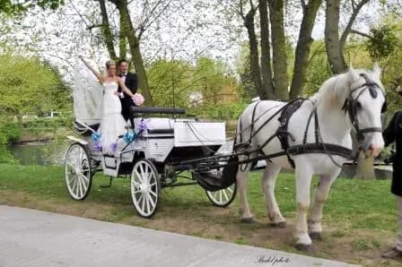 BedelPhotos FuturImage — photo 1