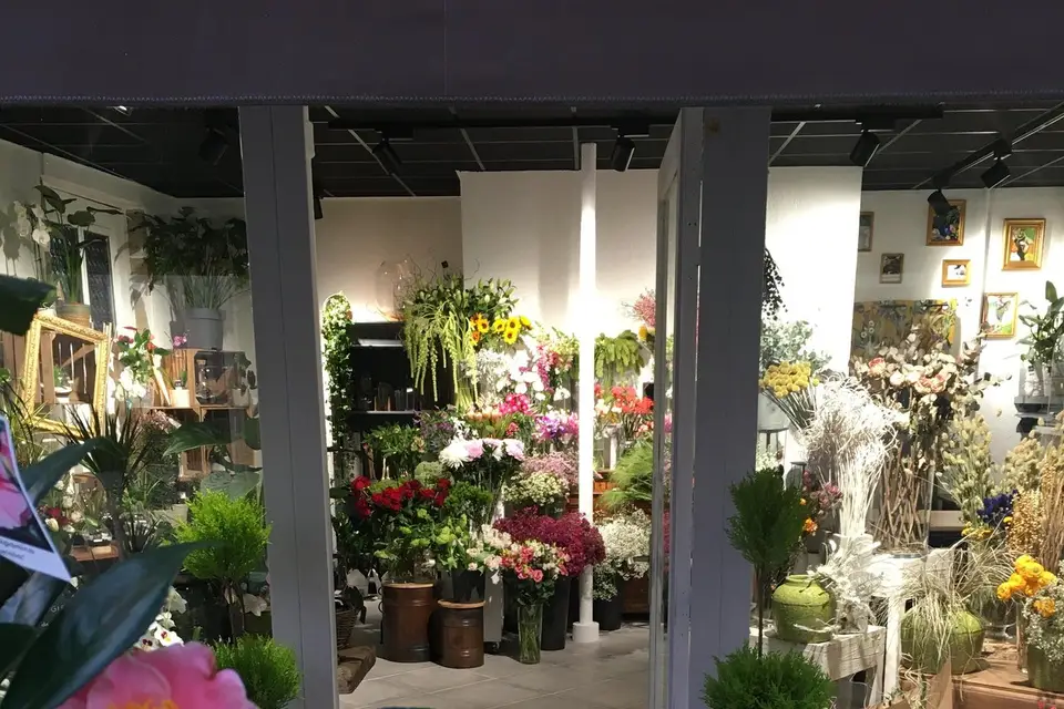 LM Loic Marret — photo 4