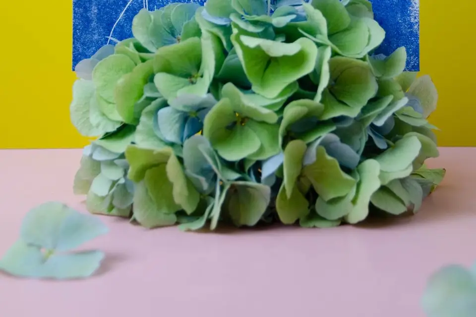 Famille de Caractères — photo 8