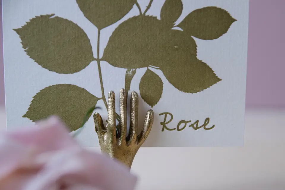 Famille de Caractères — photo 5