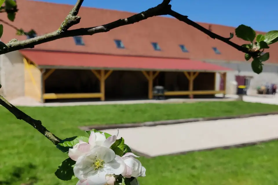 Le Domaine du Château Oublié — photo 3