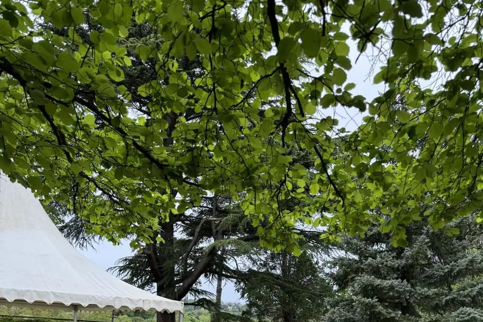 Le Domaine du Zéphyr — photo 7