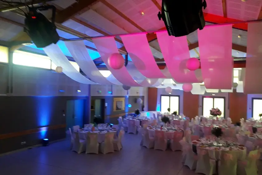 Live Anim — photo 3