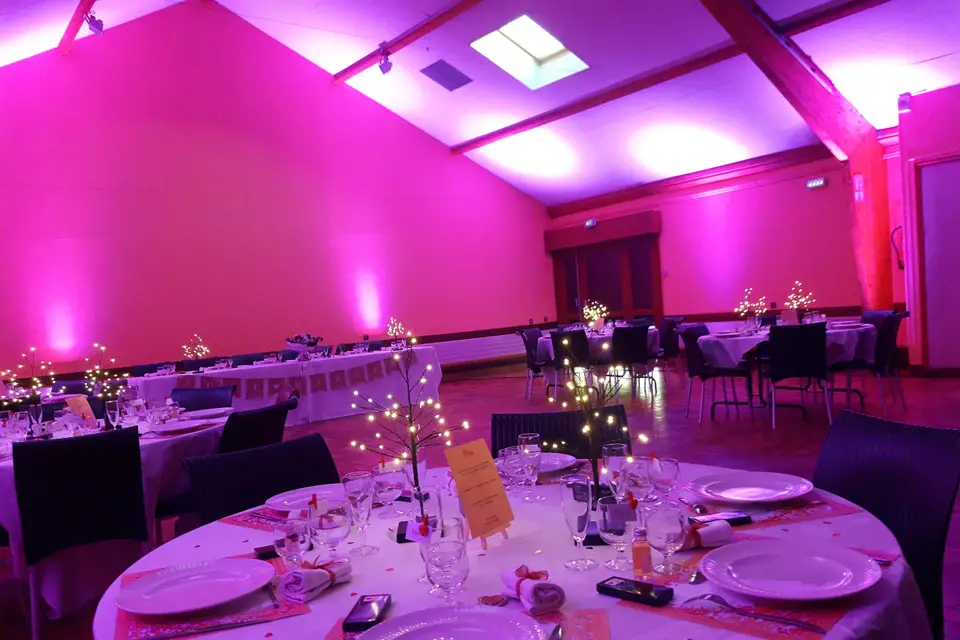 Live Anim — photo 2