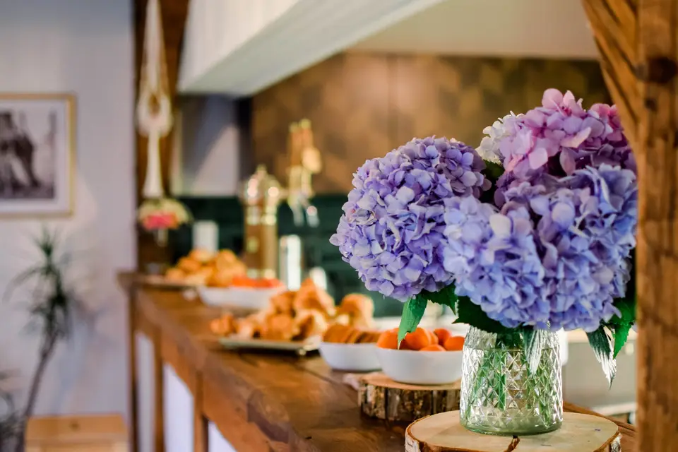 Domaine de Bouhémy — photo 7